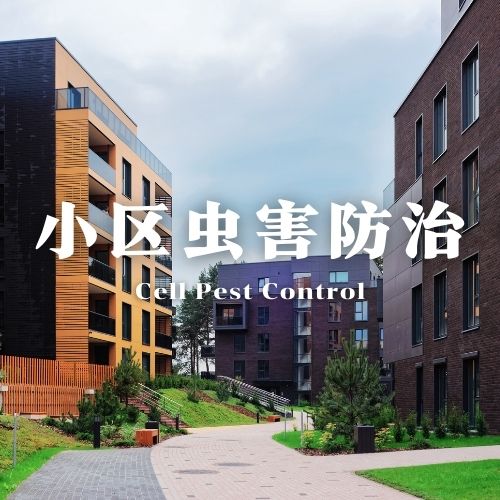 钦州市小区虫害防治