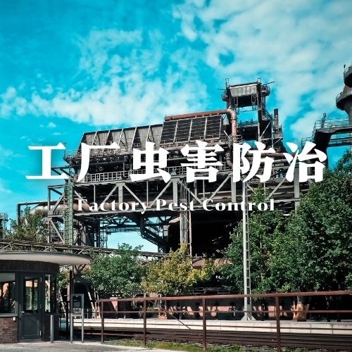 钦州工厂虫害防治