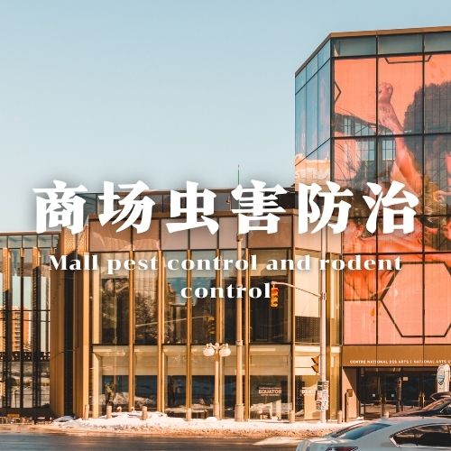 钦州商场超市虫害防治