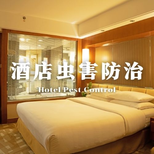 钦州酒店白蚁综合防治