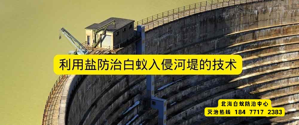 1668617451177538.jpg 利用盐防治白蚁入侵河堤的技术.jpg