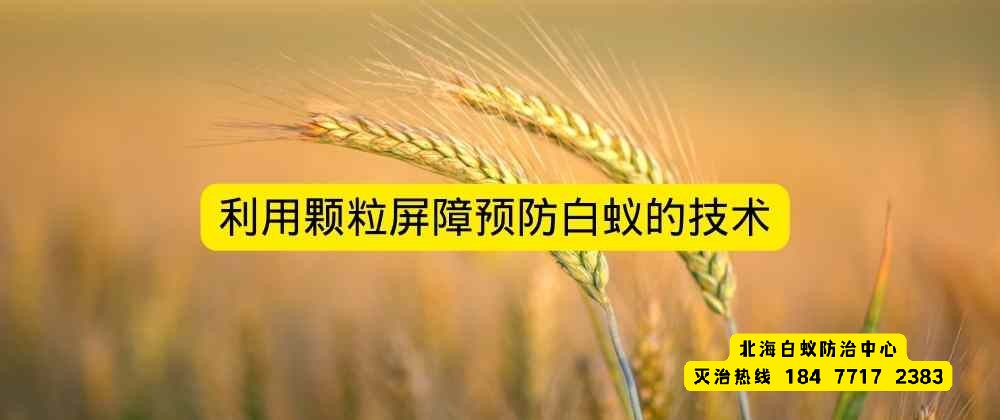 利用颗粒屏障预防白蚁的技术