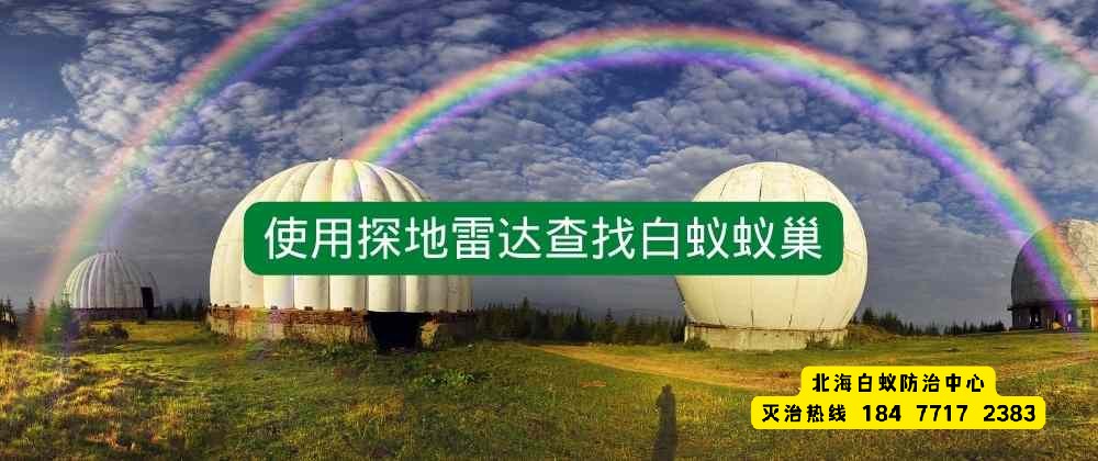 使用探地雷达查找白蚁蚁巢.jpg